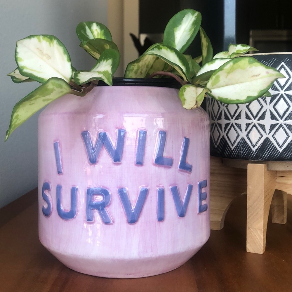 NWT “I Will Survive” Pot 🌺